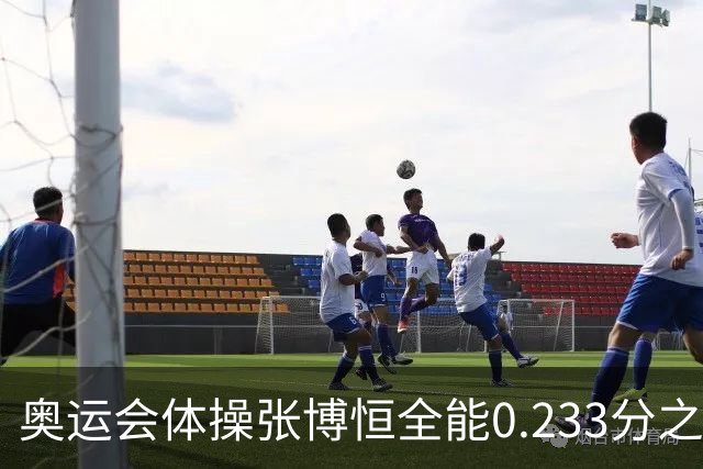 奥运会体操张博恒全能0.233分之差摘银 日本夺金